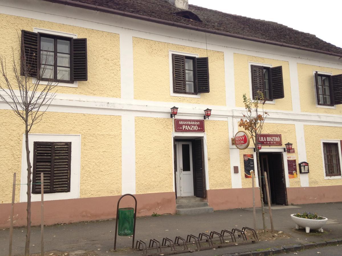 莱泰涅Arany Barany Vendegfogado住宿加早餐旅馆 外观 照片